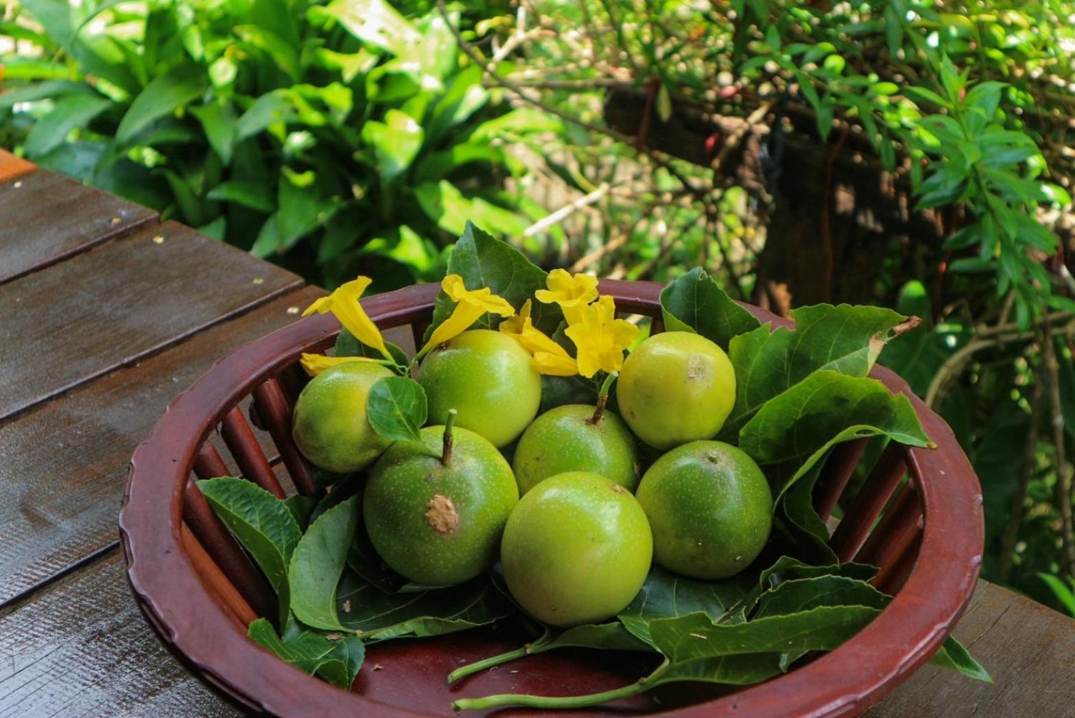 Hillhouse - Koh Yao Noi Bed & Breakfast Bagian luar foto